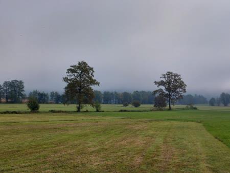 Obrockanje Zdravci 0